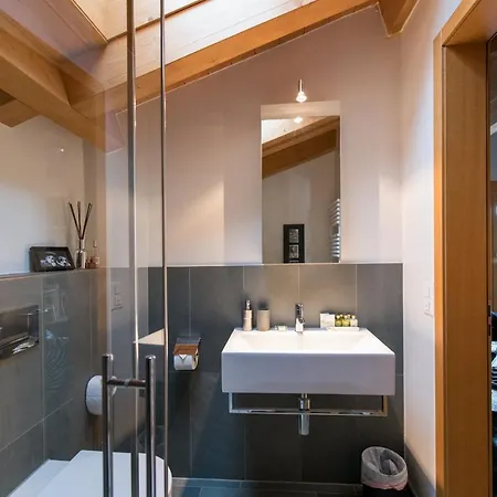 Waldbort Penthouse Apartment Wengen