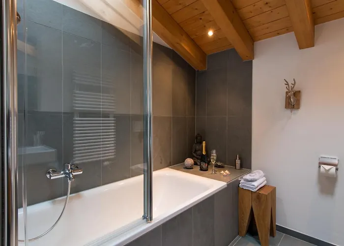 Lejlighed Waldbort Penthouse Wengen